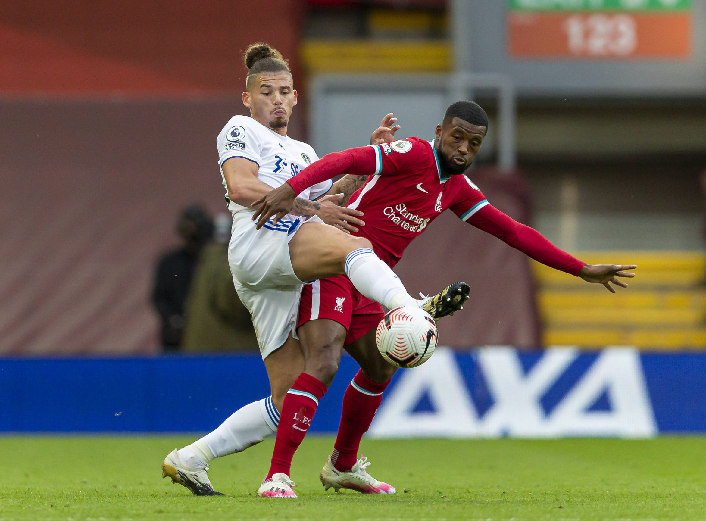 体观赏性和 体观赏性和